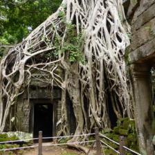 - Angkor, Siem Reap